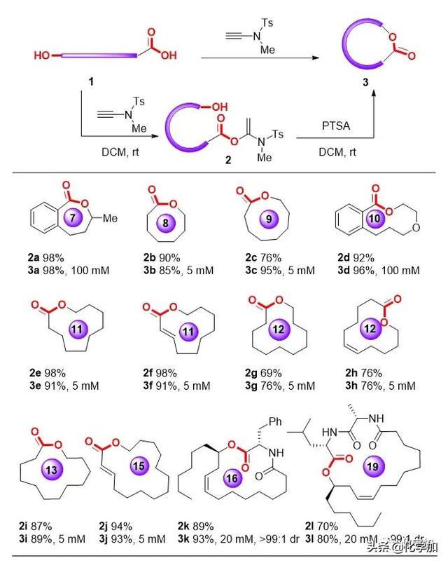 肽键和酰胺键的区别，肽键和酰胺键的区别（肽键的计算公式）