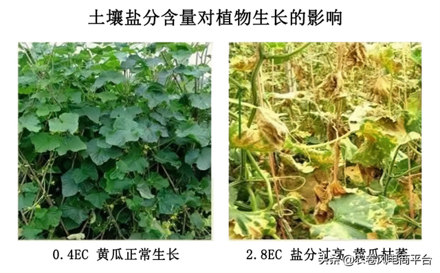 电导率单位us/cm和s/m关系，水的电导率（关于电导率耕作指导及耕作改善说明）