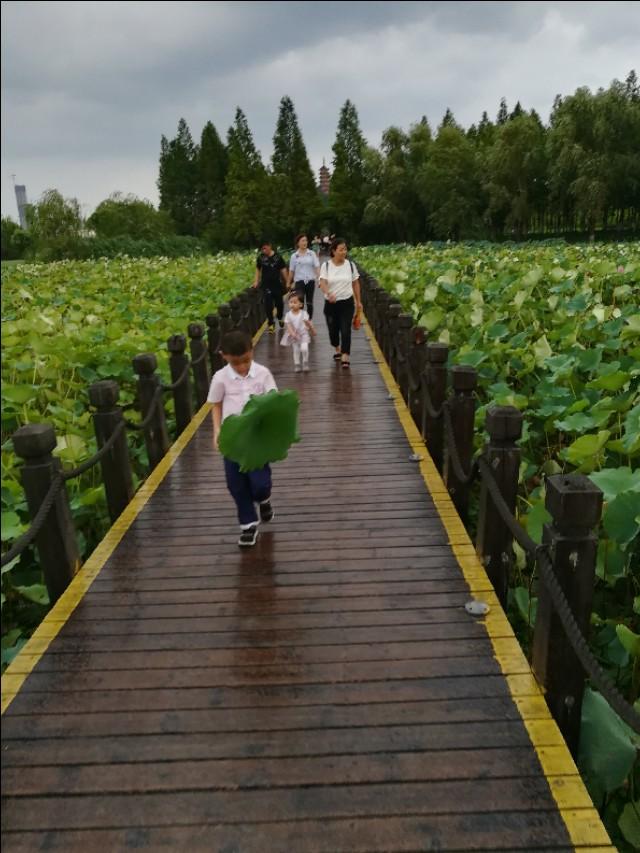 水漫金山的故事发生在哪里，水漫金山的故事发生在浙江的什么地方（白蛇传《水漫金山》的故事发生地）