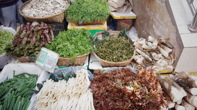 昆明周边好玩的地方，昆明周边好玩的地方有哪些（来到四季如春的昆明）