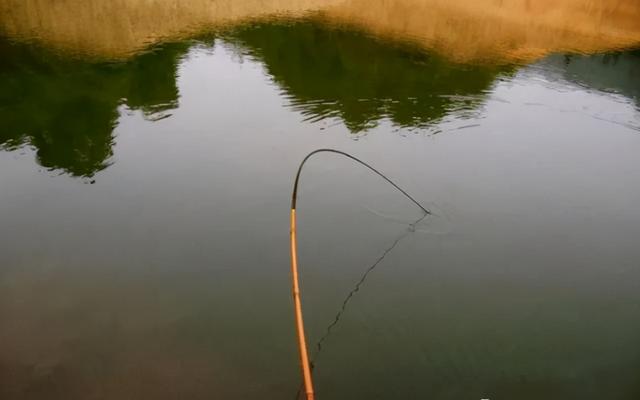 台钓竿什么样的最好，台钓竿有三种竿稍