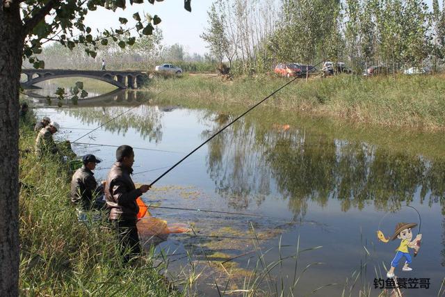 鱼竿多长比较合适，新手钓鱼多长的鱼竿合适（准确找到鱼儿活跃水深）