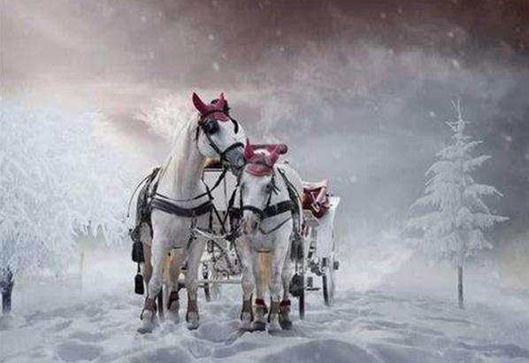 最富有哲理的诗句，40句富有哲理的诗词名句