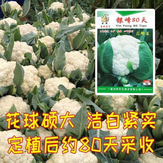 菜花种子品种大全，盘点花菜品种有哪些（农户种花菜选什么品种好）