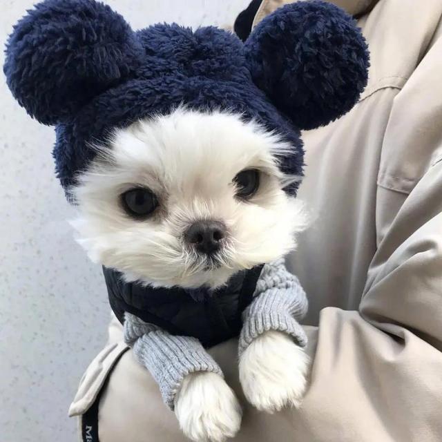 第五头像丨我可以抱抱你吗，抱抱你的头像微信（可爱头像，天好冷）