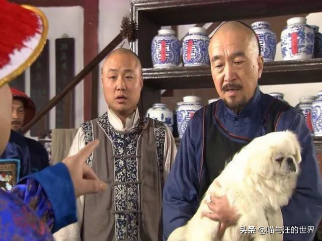 清朝大夫是什么官职，清朝大夫第是多大的官（为啥名医都不愿入宫）