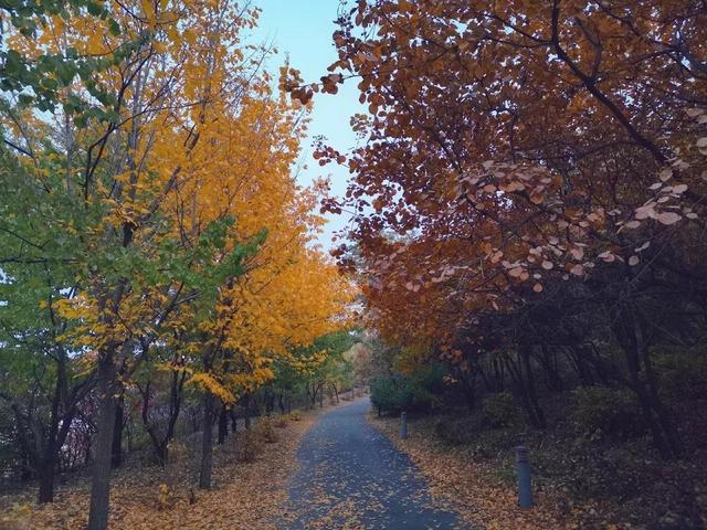 辽宁科技大学宿舍，2021年辽宁科技大学新生宿舍条件图片环境怎么样（<十五>辽宁科技大学）