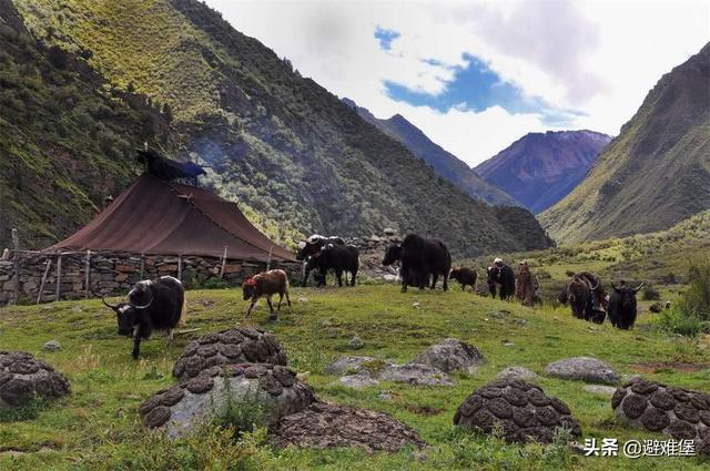 酥油的功效与作用，西藏酥油的功效与作用（有高原特殊水质的辅助）
