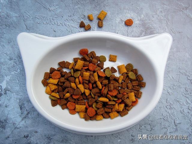 猫咪吐了没消化的猫粮，猫忽然吐没有消化的猫粮（有可能是这几种情况造成的）