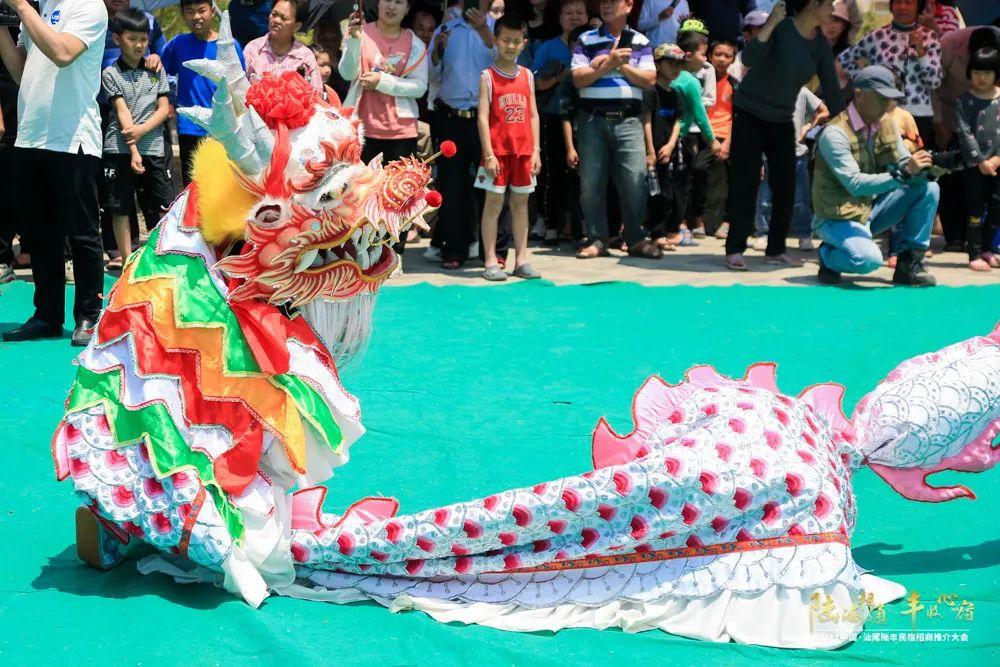 海口博美多少钱 博美市场价格多少钱