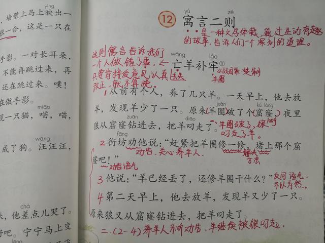 亡羊补牢的意思和道理，看二年级下册第12课《寓言二则》笔记给我们带来的大道理