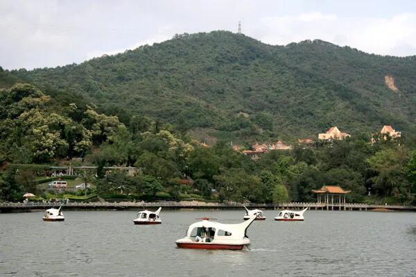 深圳石岩休闲会所（深圳十大免费特色的湖泊公园）