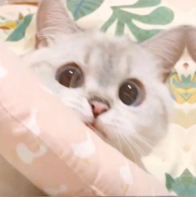 神仙ins仙女闺蜜头像，ins.仙女味闺蜜头像/如果老了怎么办，广场舞看起来好难微信（来看看好看的闺蜜头像）