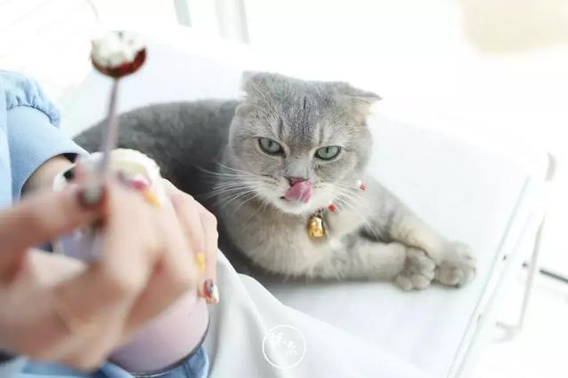 厦门双子塔图片，厦门双子塔附近海边旅游攻略（整个夏天想和你环游世界~）