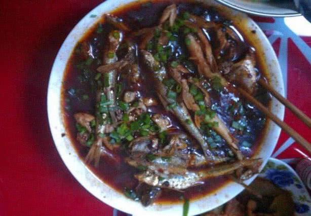 丁棍鱼是什么鱼，鲱鱼是沙丁鱼（此鱼身长嘴巴小行动迅速）