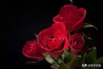 七月七日是情人节吗,每个月十四号都是什么情人节(今天是7月7日情人节) 七月七日是情人节吗,每个月十四号都是什么情人节(今天是7月7日情人节)