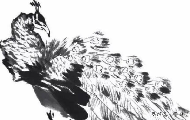 画孔雀的简笔画，如何画孔雀简笔画（国画教程——孔雀画法）
