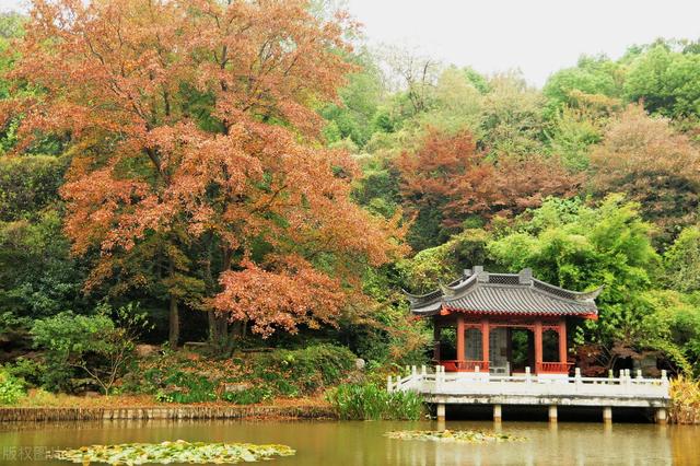 南京的名胜古迹，南京有名的十大名山胜水有哪些（这十大旅游景点没去等于白走一趟）