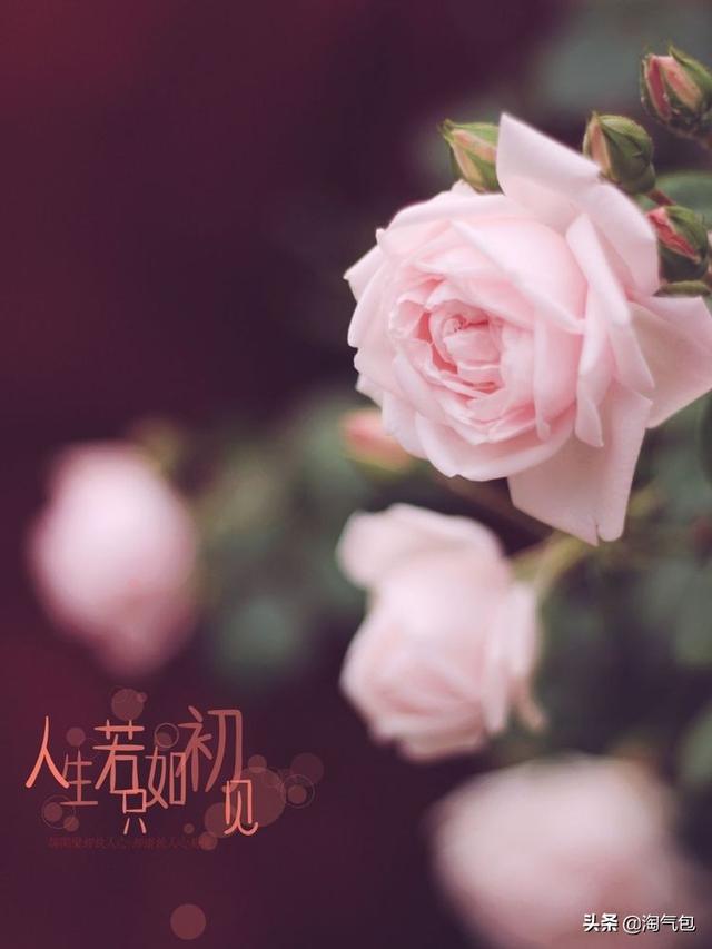 12个月都有什么情人节，二月没过情人节的今天补上