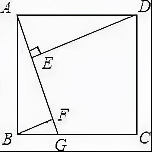 正方形是矩形吗，正方形和菱形的区别（初中数学矩形、菱形、正方形的5大考点及题型汇总）