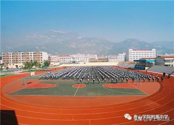 泰山双语学校(泰山国际学校)