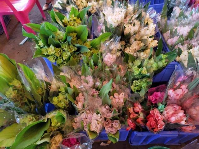 荷花最好看的品种是什么，这花最好看、最好养