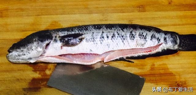 水煮鱼怎么切片，水煮鱼怎么做鱼片才嫩（教您\