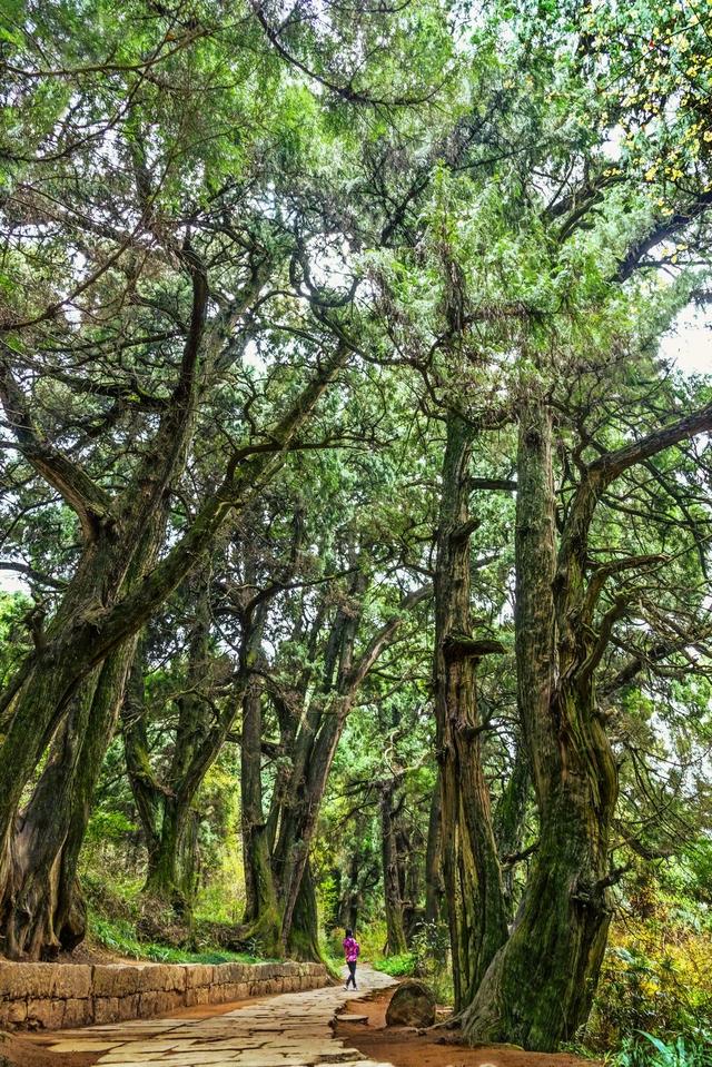 广元市哪里，广元市哪里可以打新冠疫苗（四川这座城市没成都有名）
