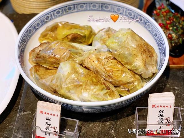 烧鸽子的做法大全，甲鱼烧鸽子的做法大全（“一鸽胜九鸡”的红烧乳鸽、酱汁鸽子、盐焗鸽子、黄泥烧鸽子）