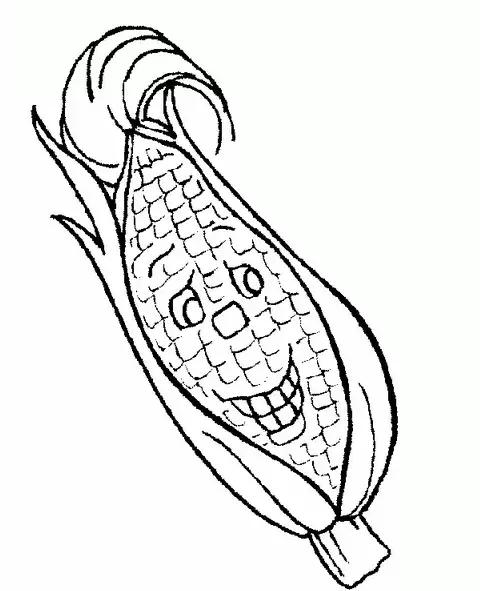 玉米简笔画图片，几株玉米的简笔画怎么画（可爱的玉米简笔画画法图解）
