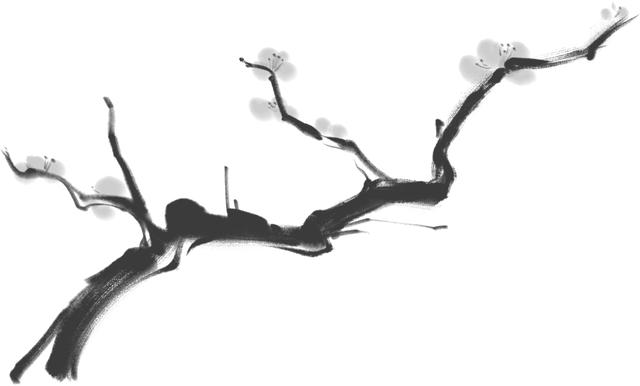 精油按摩7部位不同手法全面造美肌,精油按摩脸部的手法(学会极简精油护肤) 精油按摩7部位不同手法全面造美肌,精油按摩脸部的手法(学会极简精油护肤)