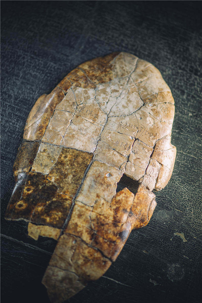 济宁小屯学校坍塌视频（发现甲骨文）