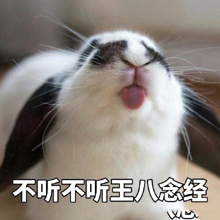 宝贝兔兔表情包第二弹。，一只小兔兔2表情包（你的小可爱上线了图片）