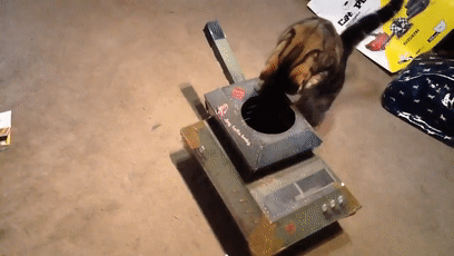 如何用最简单的材料给猫咪做玩具，如何用最简单的材料给猫咪做玩具熊（网友给家里的猫打造纸箱坦克）