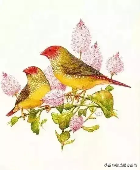 4的意思是什么，20-3*4的意思是什么（10）