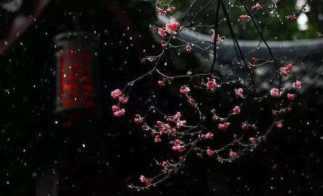 带夜的诗句，带夜的诗句飞花令100句（在寒夜里读首古诗词）