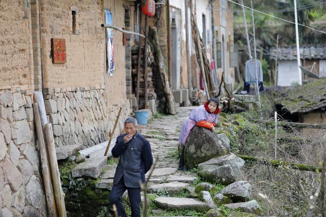 坟茔读音，坟茔读音怎么读（追寻1343座无名红军墓背后的故事）