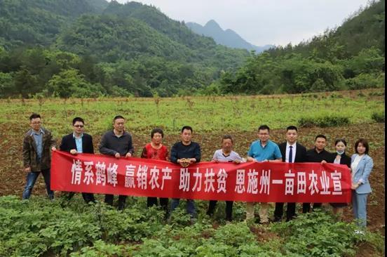 湖北统计联网直报平台，统计直报联网平台（麦购即将进入）