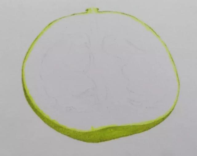 简笔画柚子怎么画，简笔画柚子怎么画好看（绘画~彩铅丨香甜可口的柚子）