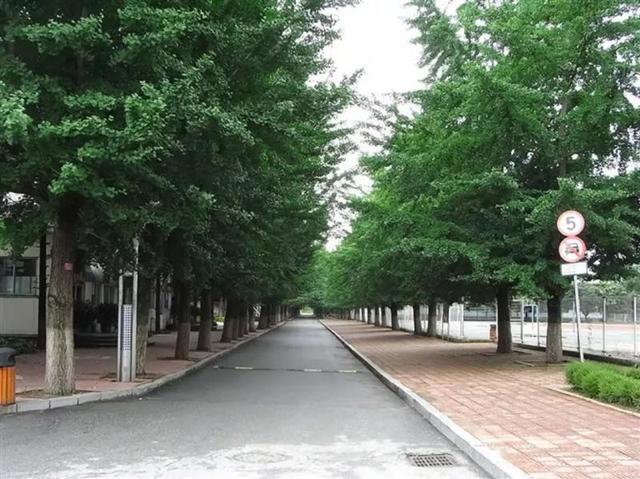 辽东学院宿舍条件怎么样，辽东学院宿舍几人间（辽宁省普通高等院校）