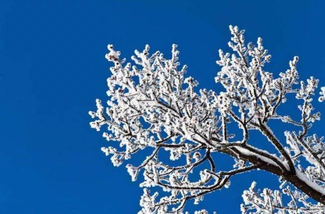 雪的组词有哪些，雪组词（雪的24种别称，简直美醉了）
