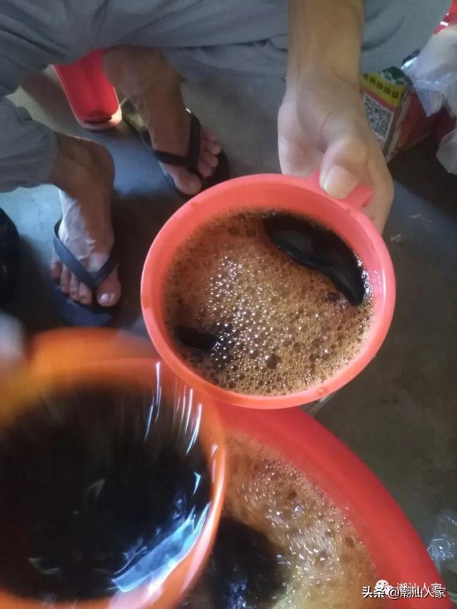 潮汕酱油豆的制作方法，潮汕酱油豆的制作方法和步骤（普宁这种酱油你打过吗）