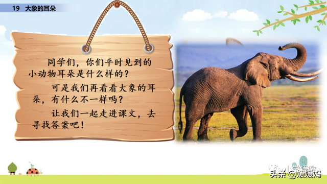 慢慢拼音怎么读，慢慢拼音（二年级下册语文课文19《大象的耳朵》图文详解及同步练习）