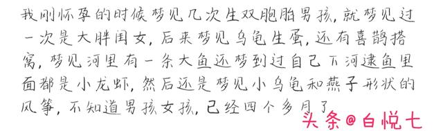 梦见黑母猪带一群小猪寓意，梦见老母猪带一群小猪是什么意思（怀孕时都梦过什么）