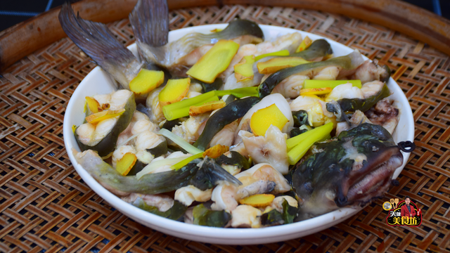 鮰鱼和鲶鱼的区别，鮰鱼和鲶鱼的区别在哪里啊（这种鱼一直被当作是鲶鱼）