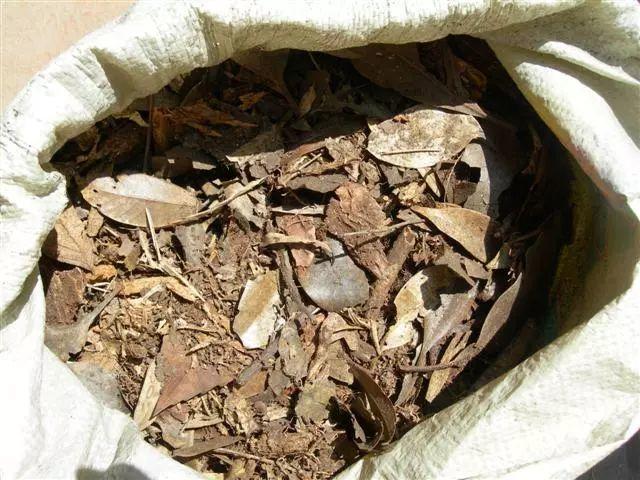 兰花什么时候开花，兰花开花时间（兰花最全养护要点）