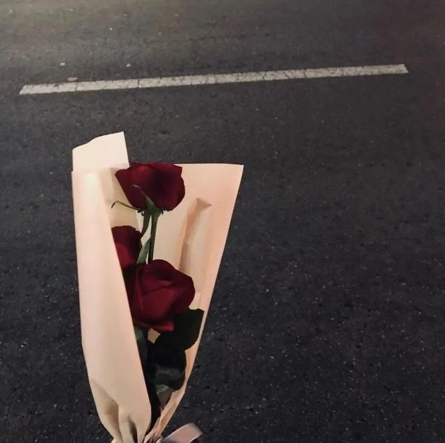 ins超火背景,ins超火背景图小熊(高级ins风背景图)