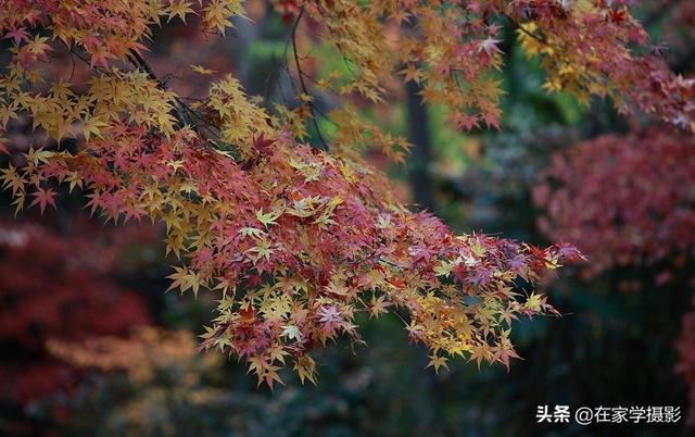 如何选择uv镜，怎么选择uv镜（CPL偏光镜、ND减光镜、UV镜如何选）