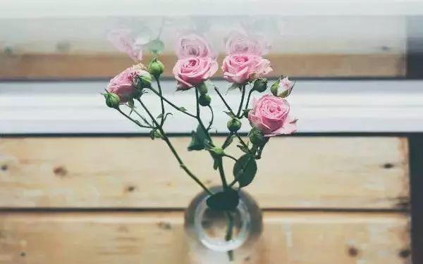 晨会内容该讲些什么，一般晨会说些什么（6个适合晨会分享的小故事）