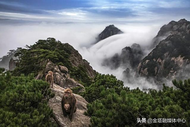 黄山是属于什么地貌，黄山的地貌特点及其成因（黄山何以成为“震旦国中第一奇山”）